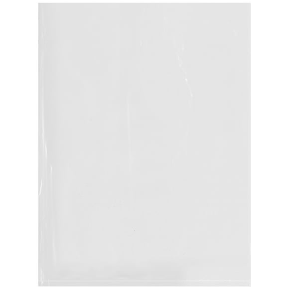12 x 8 12 x 8 Pack of 1000 RetailSource P120806RC1000 Reclosable Poly Bags 6 mil Clear 